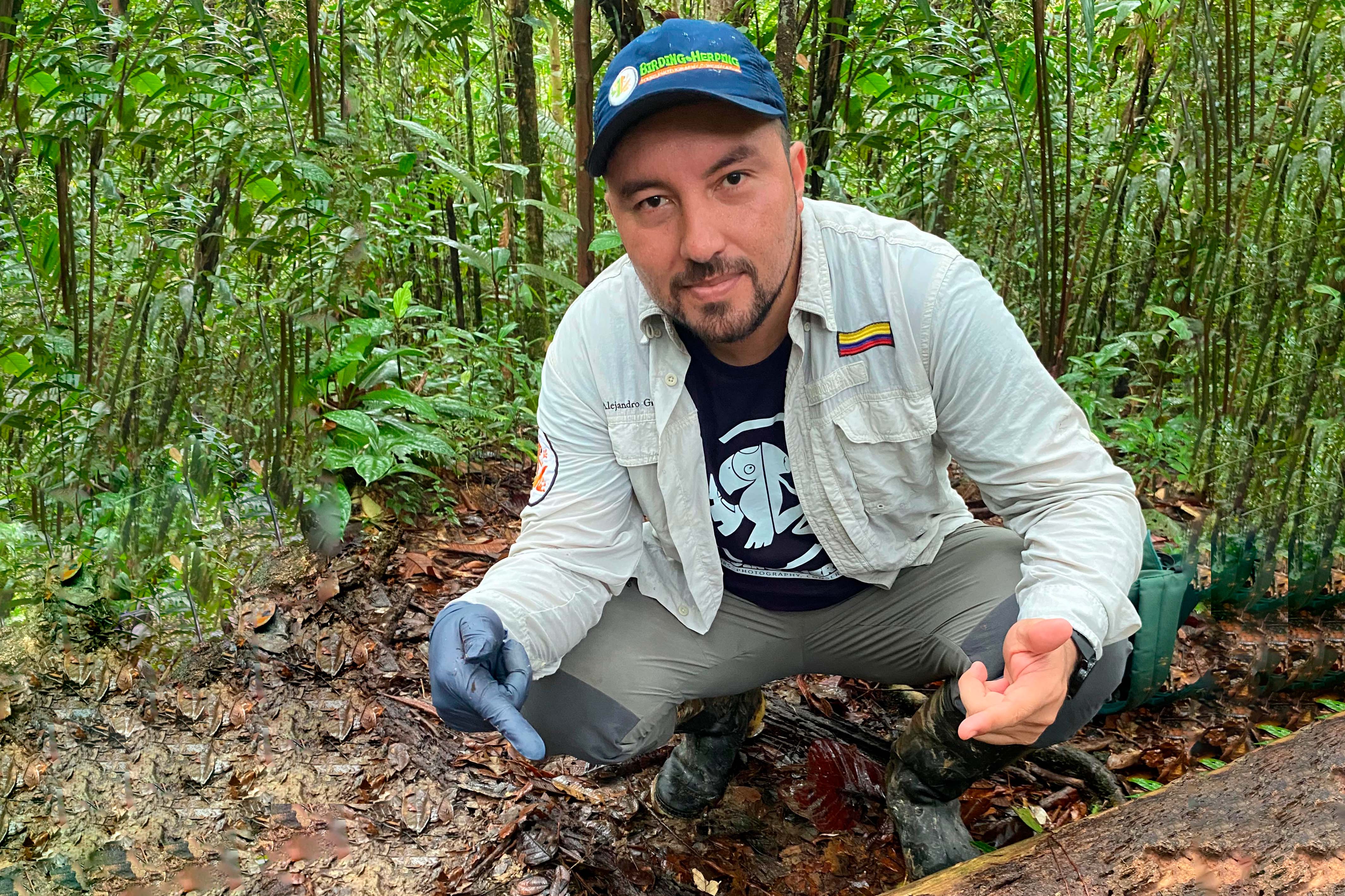 Alejandro Grajales Echeverry